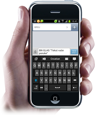 sms-survey