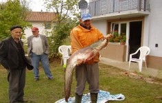 Na jezeru Sniježnica: Murat Muratović upecao soma od 25 kilograma