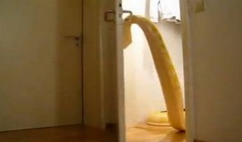 Zmija otvara vrata k'o od šale (VIDEO)