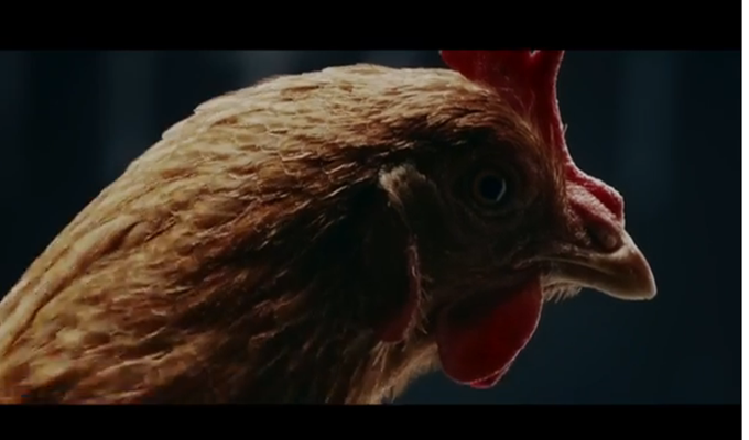 Mercedesove »rasplesane kokoši« – reklama godine! (VIDEO)