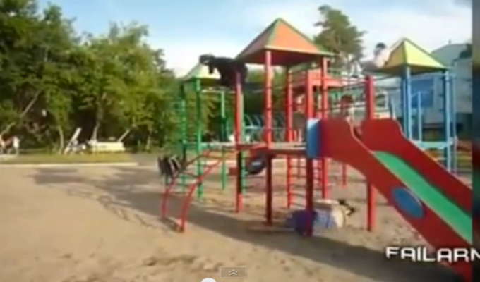 Kompilacija koja će vam natjerati suze na oči (VIDEO)