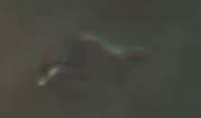 Misterija: Nepoznato biće pretrčalo autoput u Engleskoj (VIDEO)