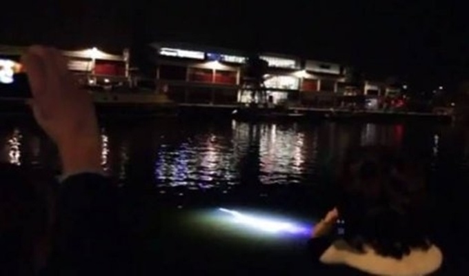Misteriozno svjetleće biće primijećeno u luci u Bristolu (VIDEO)