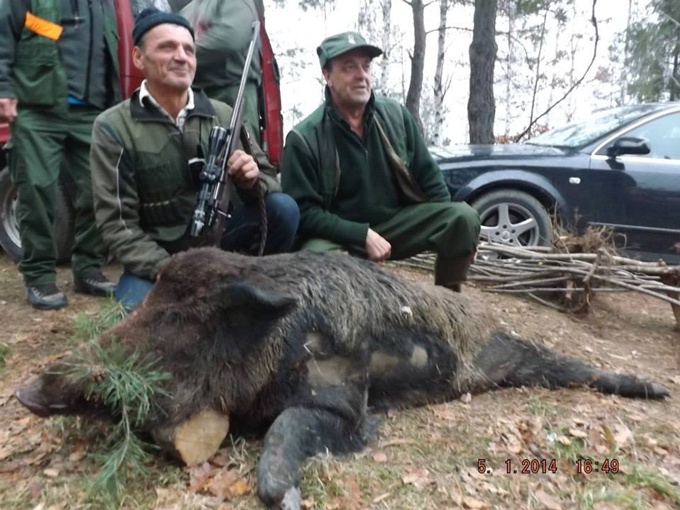 Lovac iz Goduša odstrijelio vepra teškog 220 kilograma