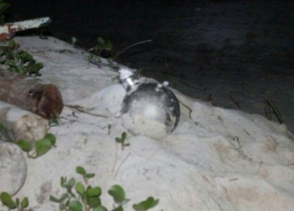Još veća misterija: Nađen dio aviona na Maldivima, sumnja se na MH 370