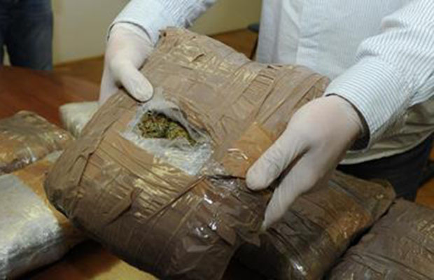 Hrvatska: Zaplijenjeno 800 kg marihuane