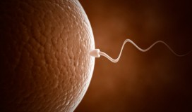 ‘Kućanske’ hemikalije opasnije nego što se mislilo: Pasta za zube i sapun utječu na plodnost