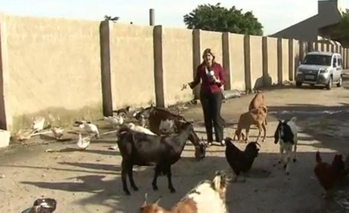 Reprezentativci BiH će trenirati uz koze i perad