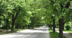 Sarajevo: U kontejneru na Vilsonovom šetalištu pronađeno mrtvo novorođenče