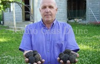 Teočak: Na Tursunovom Brdu pronađeni crni tartufi (FOTO)