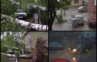 Vjetar čupao drveće i bacao kontejnere u Pirotu! (VIDEO)