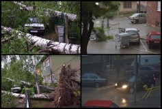 Vjetar čupao drveće i bacao kontejnere u Pirotu! (VIDEO)