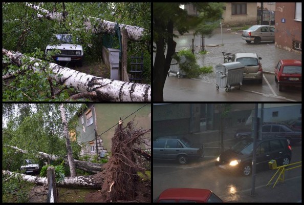 Vjetar čupao drveće i bacao kontejnere u Pirotu! (VIDEO)