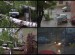 Vjetar čupao drveće i bacao kontejnere u Pirotu! (VIDEO)