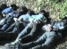 Sjećanje na žrtve Škorpiona: Dan kada je cijeli svijet spoznao užase Srebrenice (VIDEO)